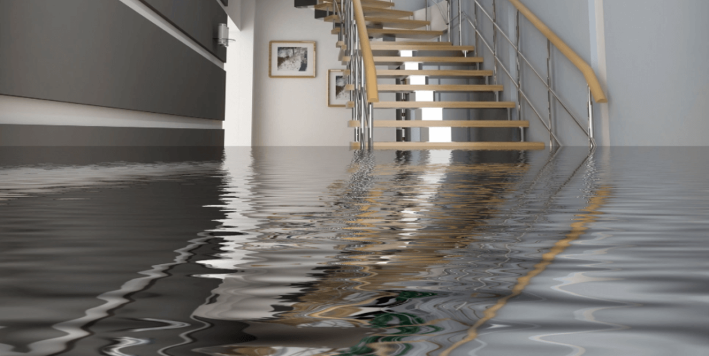 Water Damage Removal