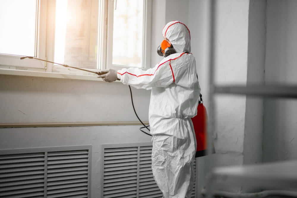 mold remediation