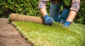 Lawncare in Guelph